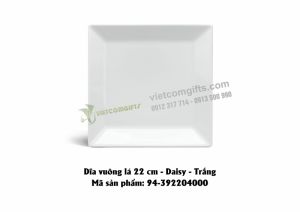 ĐĨA  VUÔNG 4