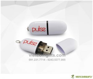 Quà Tặng USB Vỏ Nhựa UVN 014